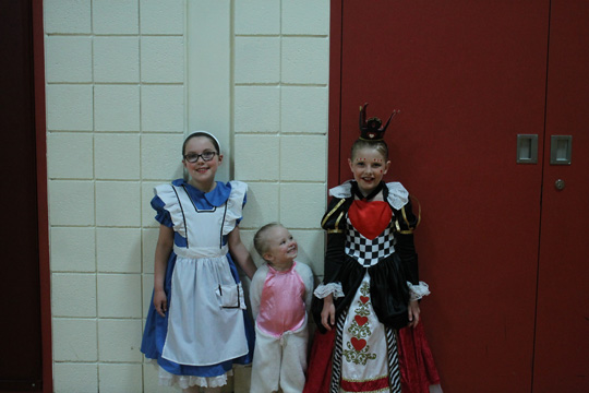 Image 12