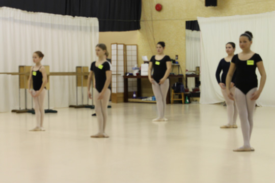 Image 7