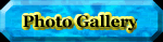 Photo Gallery Selection Page
