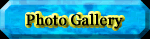 Photo Gallery Selection Page
